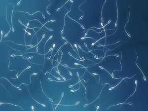 Penyebab Penurunan Jumlah Sperma