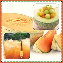 Manfaat dan Kandungan Gizi Melon